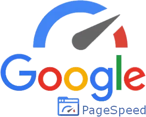 google-pagespeed.webp