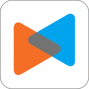 litextension.webp